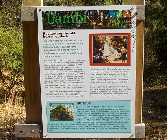 Uambi Reserve - Trust for Nature景点图片