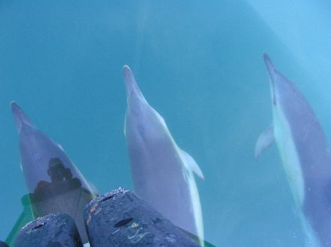 Venture Jet-St. Davids必去景点