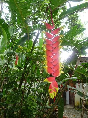 Tree of Life Wildlife Rescue Center and Botanical Gardens-卡维塔必去景点