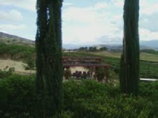 Leoness Cellars-特曼库拉必去景点