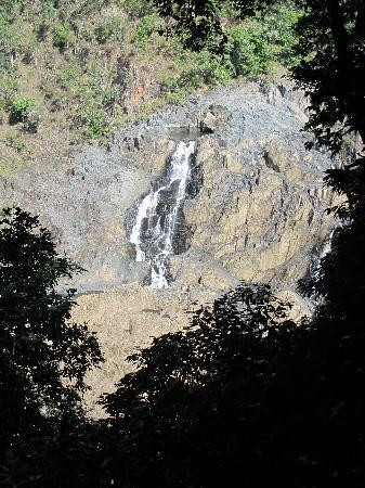 Skyrail Rainforest Cableway-Smithfield必去景点