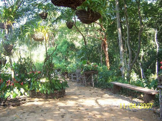 Jardín Botánico de Vallarta-Cabo Corrientes必去景点