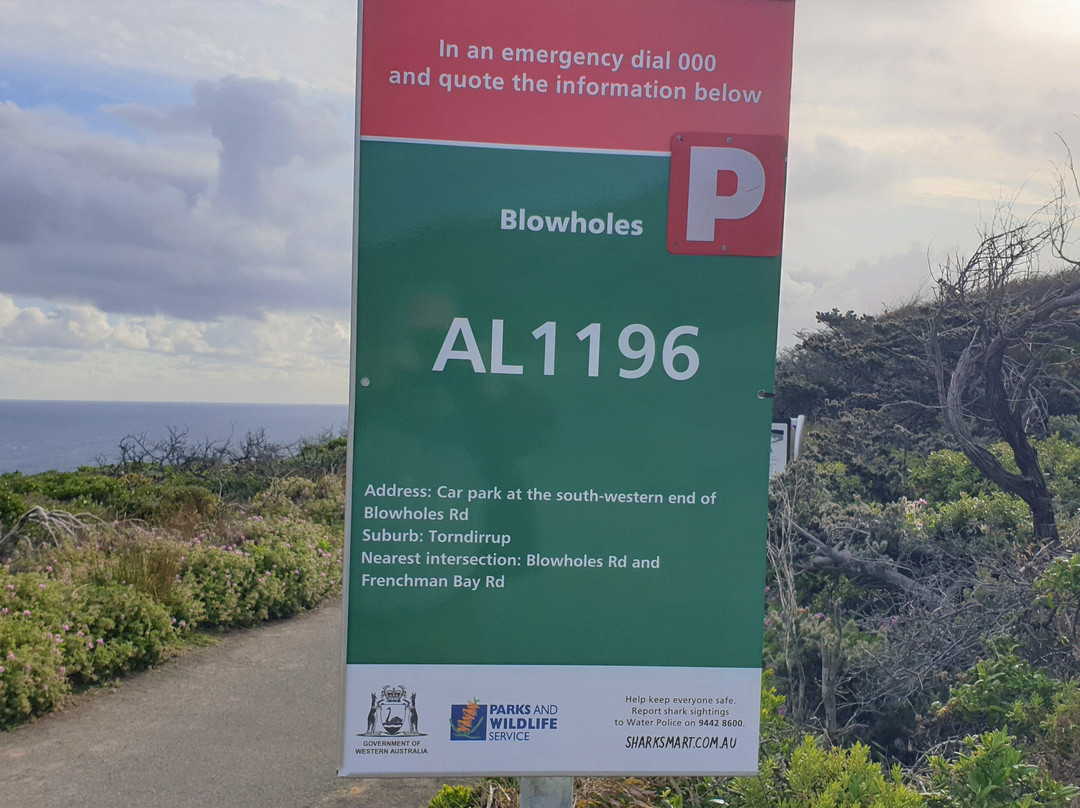 The Blow Holes-奥尔巴尼必去景点