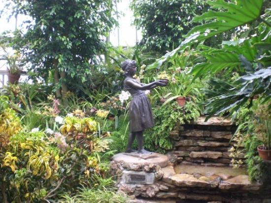 Anna Scripps Whitcomb Conservatory-底特律必去景点
