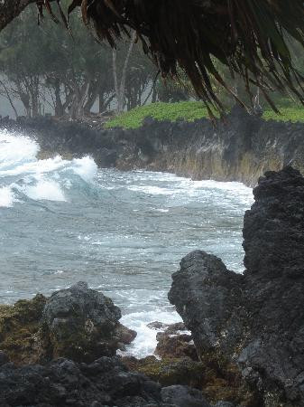 Valley Isle Excursions-怀露库必去景点