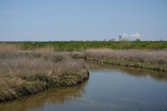 Third Beach-米德尔敦必去景点