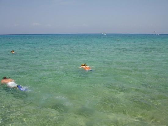 The Money Bar Beach Club-考祖梅必去景点