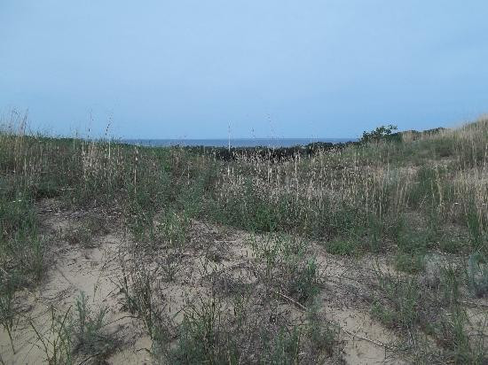 Saugatuck Dune Rides-索格塔克必去景点