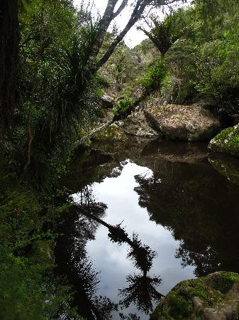 Wairere Boulders-Horeke必去景点