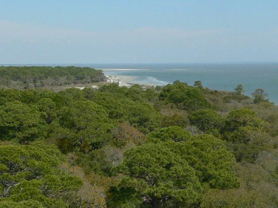 Hunting Island State Park景点图片
