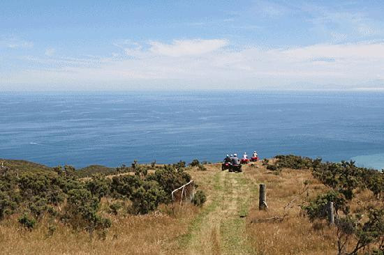 Wellington Adventures - Day Trip-惠灵顿必去景点