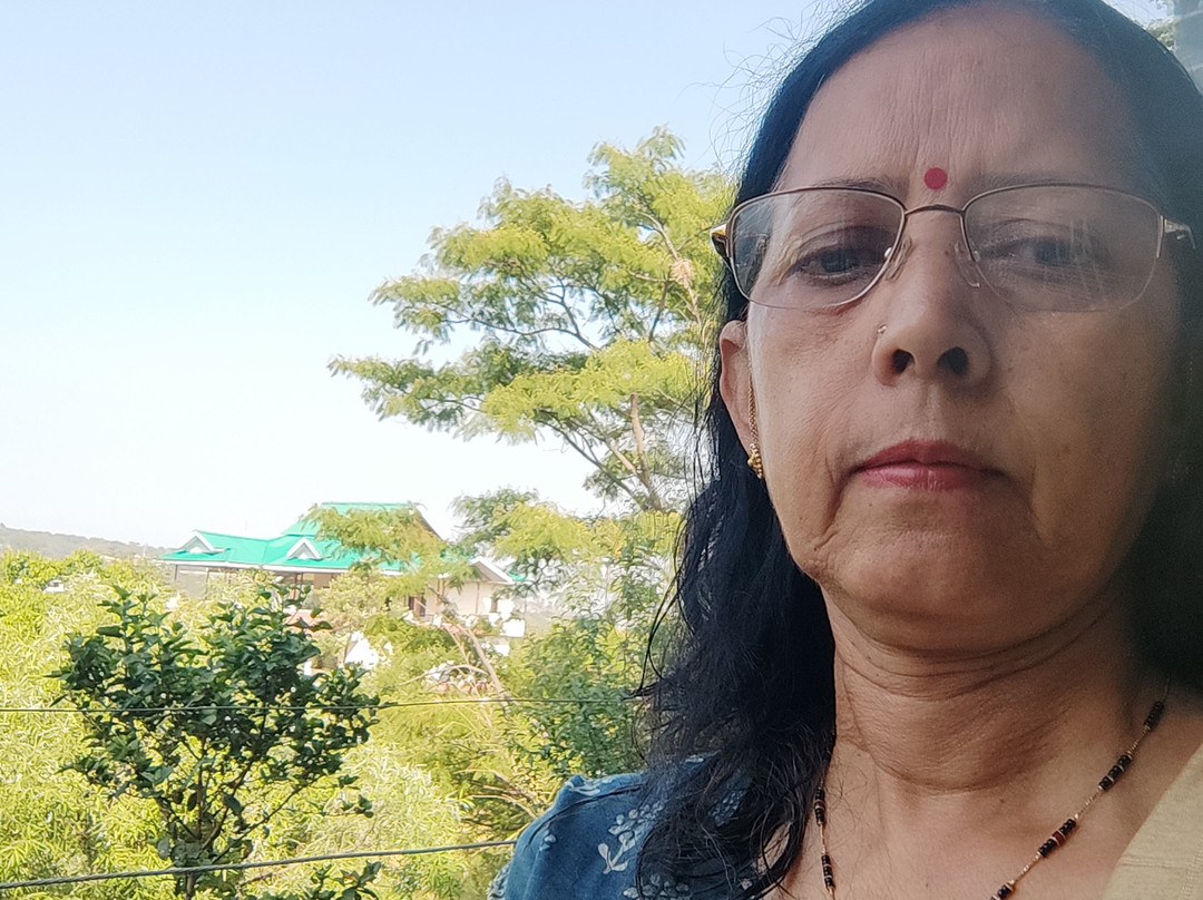 Hotel Dharamshala Paradise主图