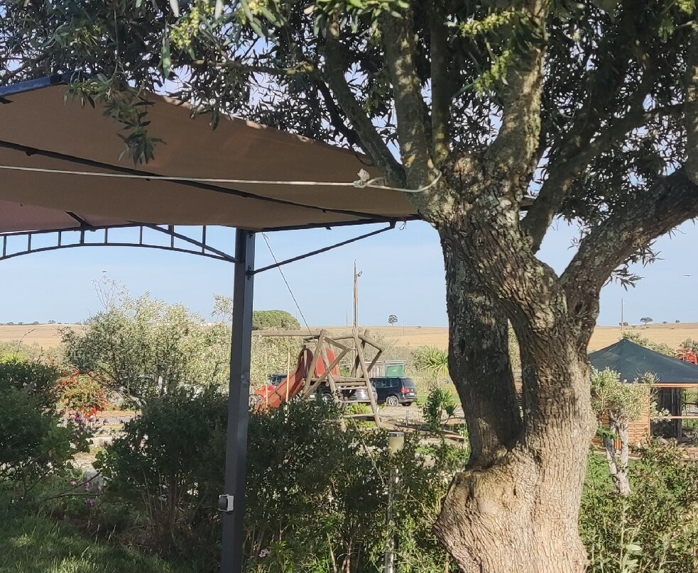 Monte dos Pocos Agroturismo主图