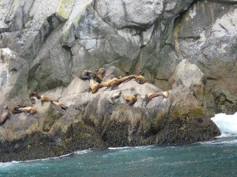 Sunny Cove Sea Kayaking-苏厄德必去景点