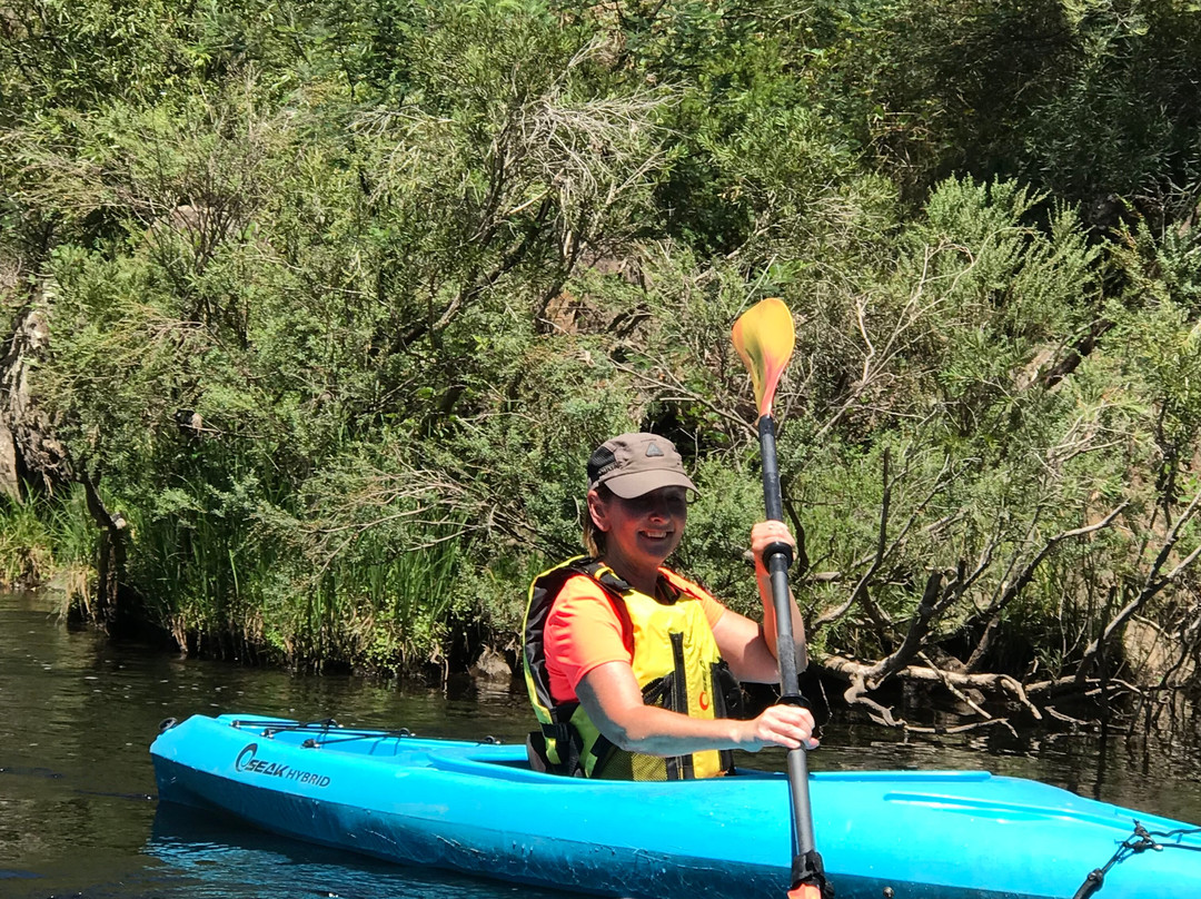 Jamieson Kayak Rental-Jamieson必去景点