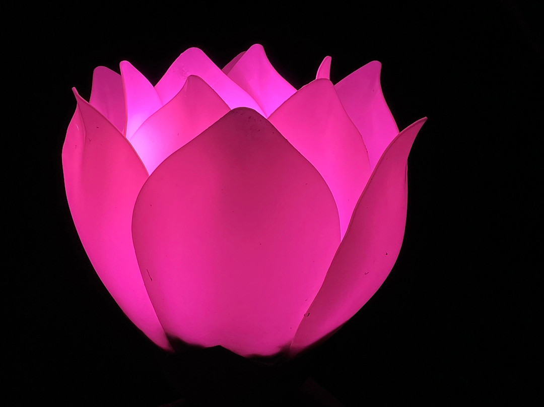 印象普陀-舟山市必去景点