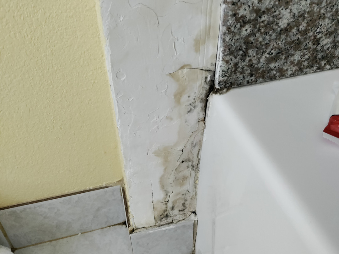 La Quinta Inn & Suites By Wyndham Pasadena North主图