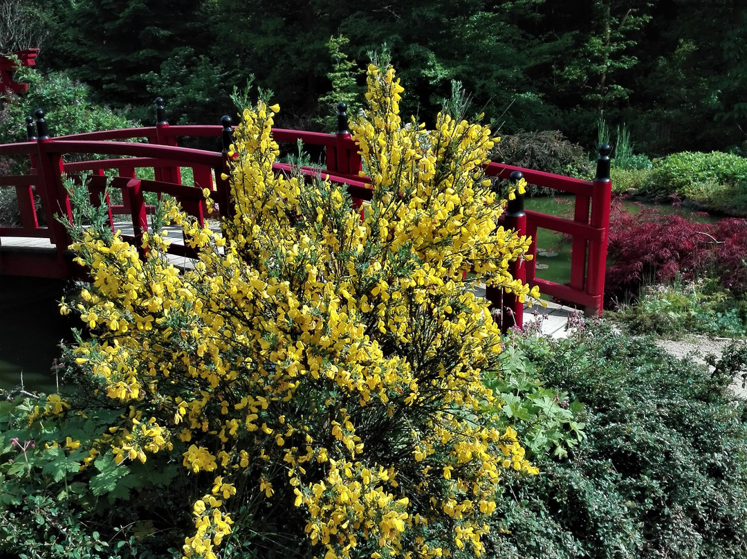 Nepal Himalaya Park Stiftung景点图片