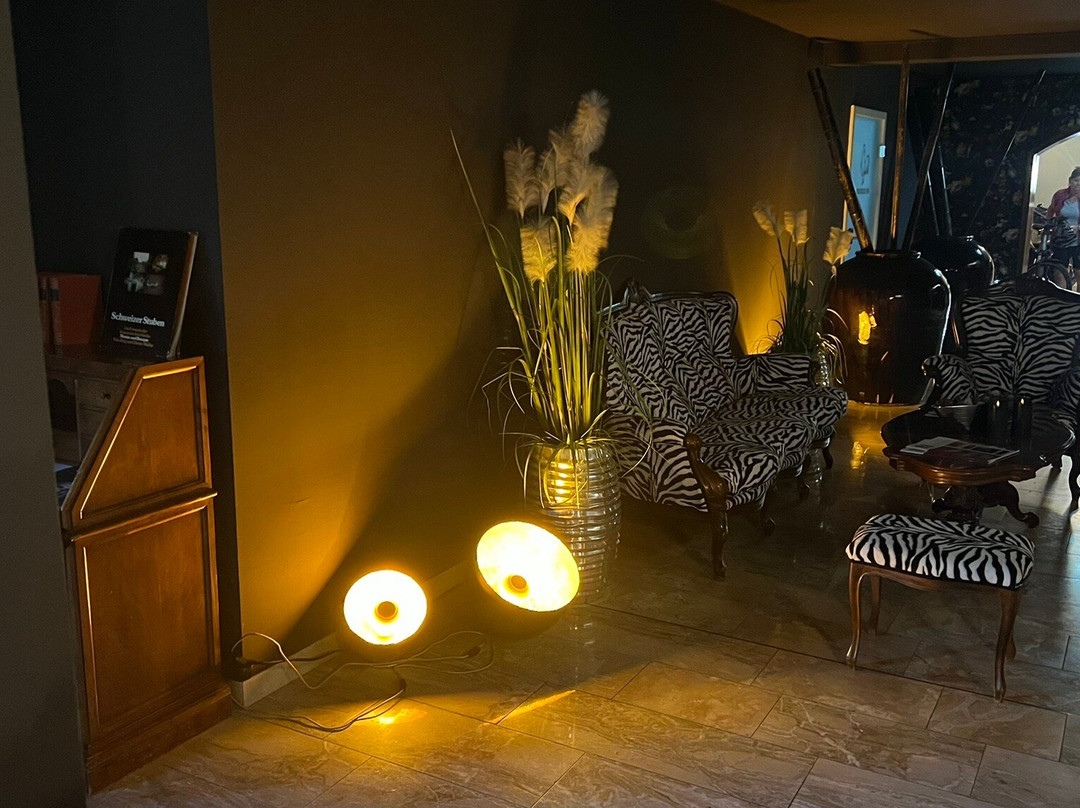 City Hotel Antik主图