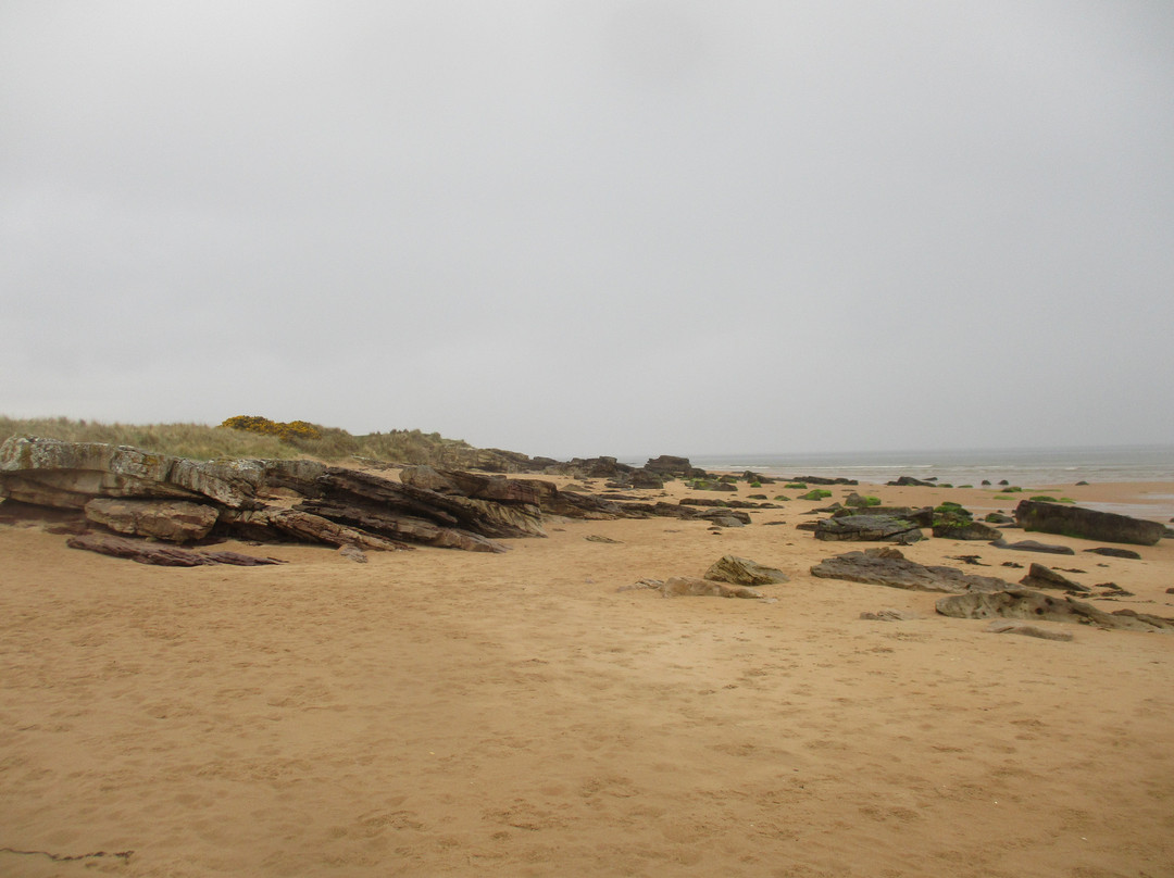 Dornoch Beach景点图片