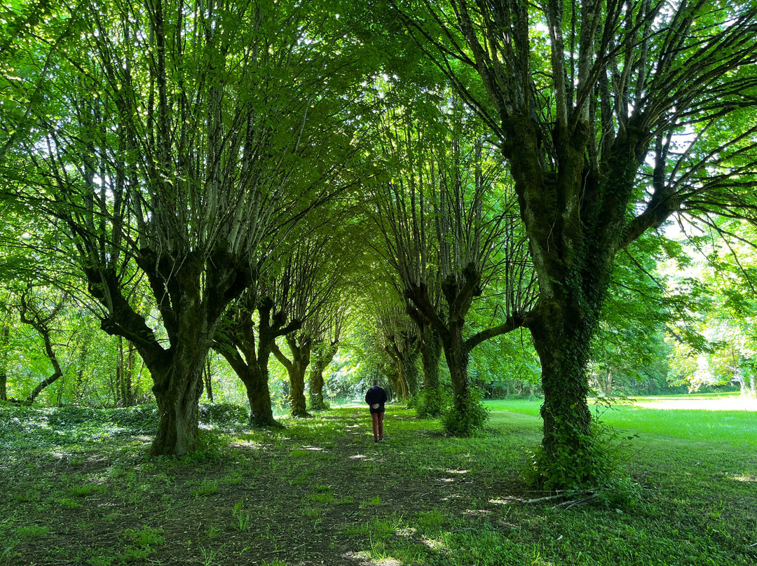 Domaine des Douves主图