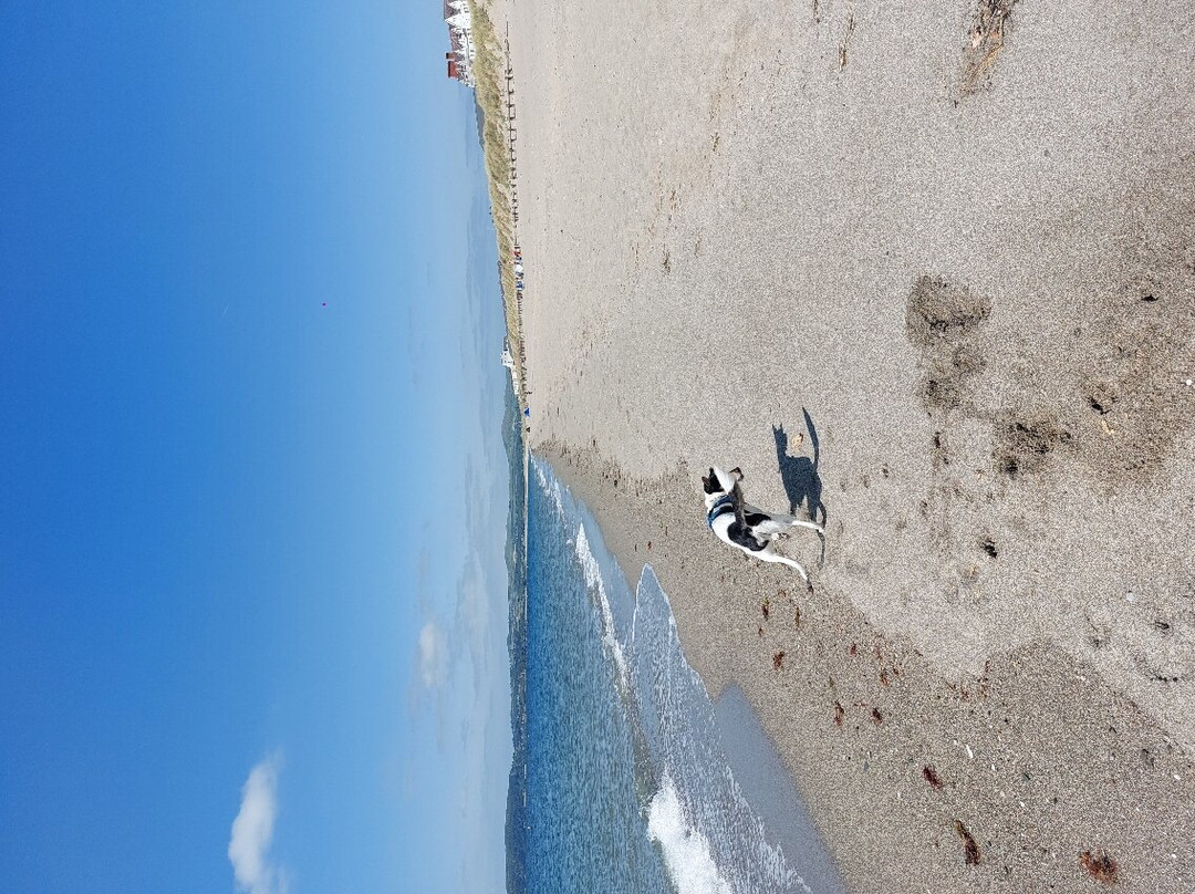 Pwllheli Beach景点图片