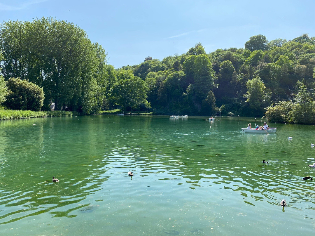 Swanbourne Lake景点图片