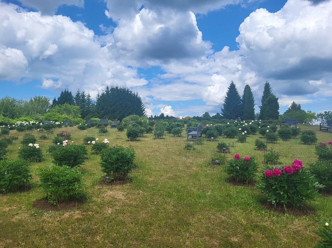 Kalsnava Arboretum-Madona必去景点