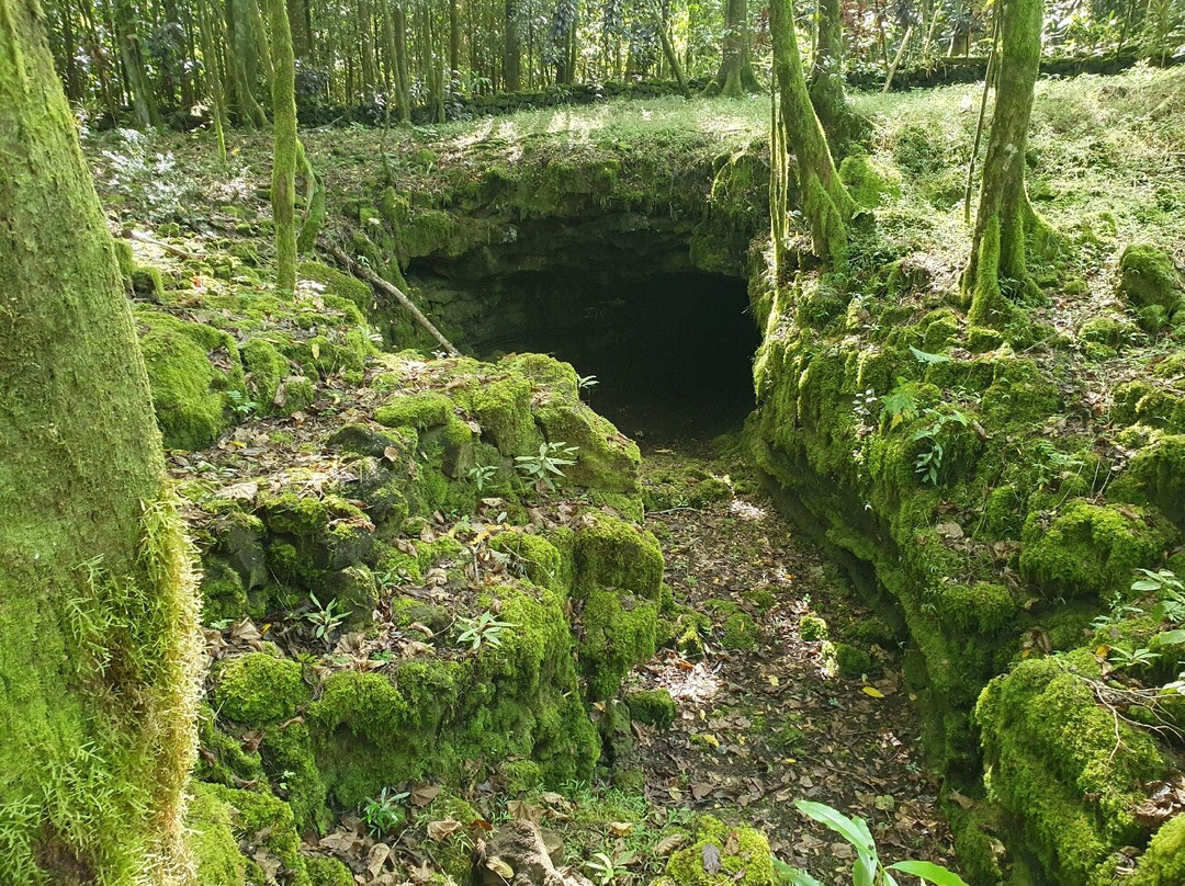 Aopo Lava Tubes-萨瓦伊岛必去景点