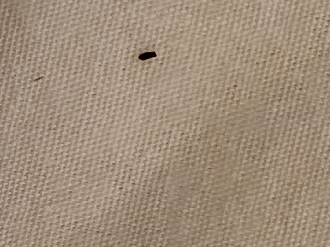 Travelodge by Wyndham Cape Cod Area主图