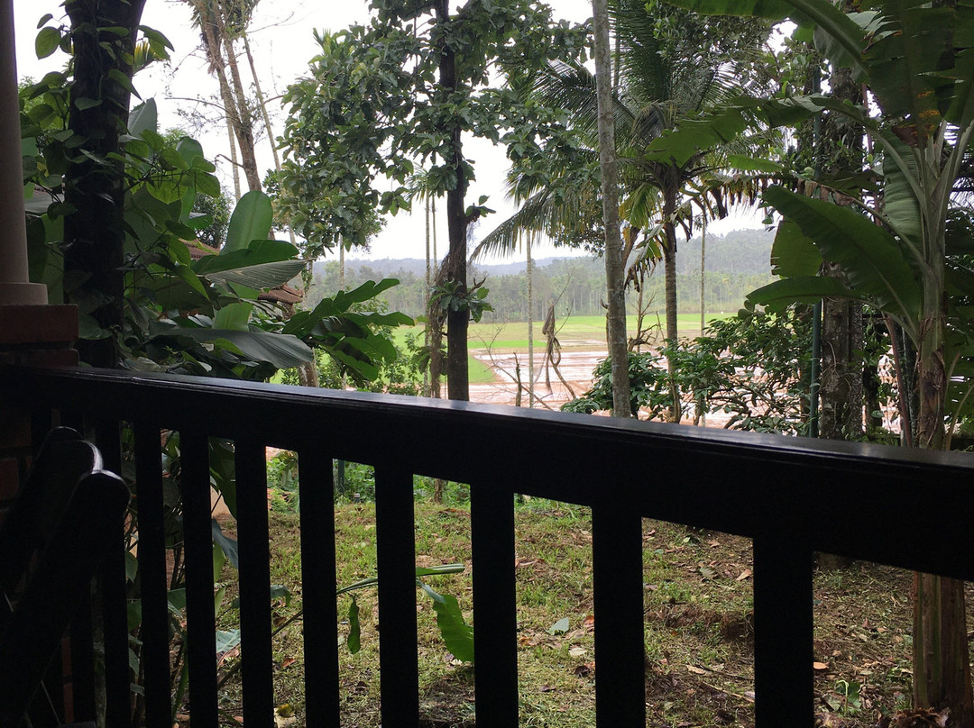 Raindrops Resorts主图