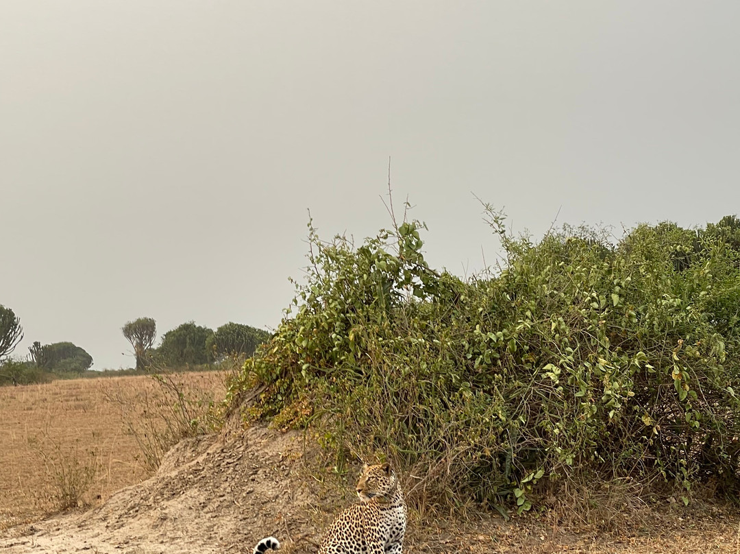 Fazil Safari Guide Uganda+-Katunguru必去景点