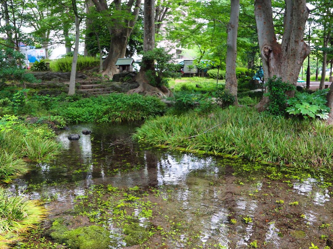 Shirataki Park-三岛市必去景点