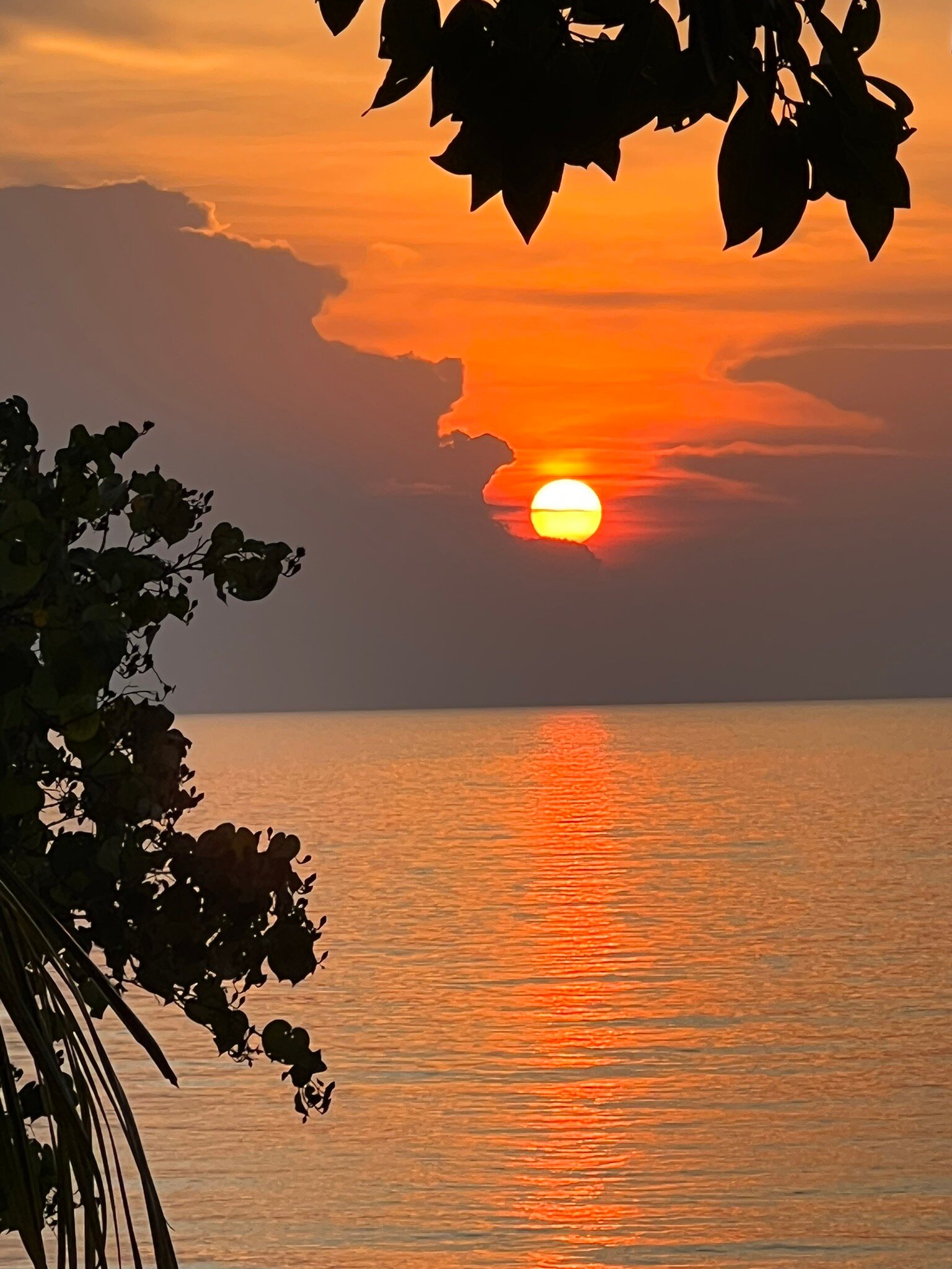 Coral Reef Holidays-官方