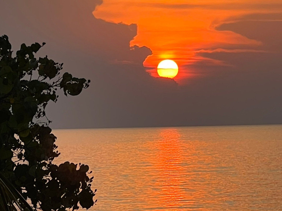 Coral Reef Holidays主图