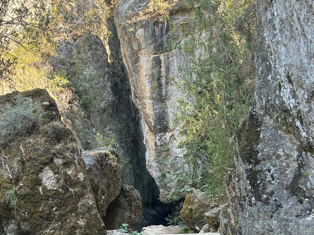 Sardegna-Ambiente Escursioni Day Hikes-Dorgali必去景点
