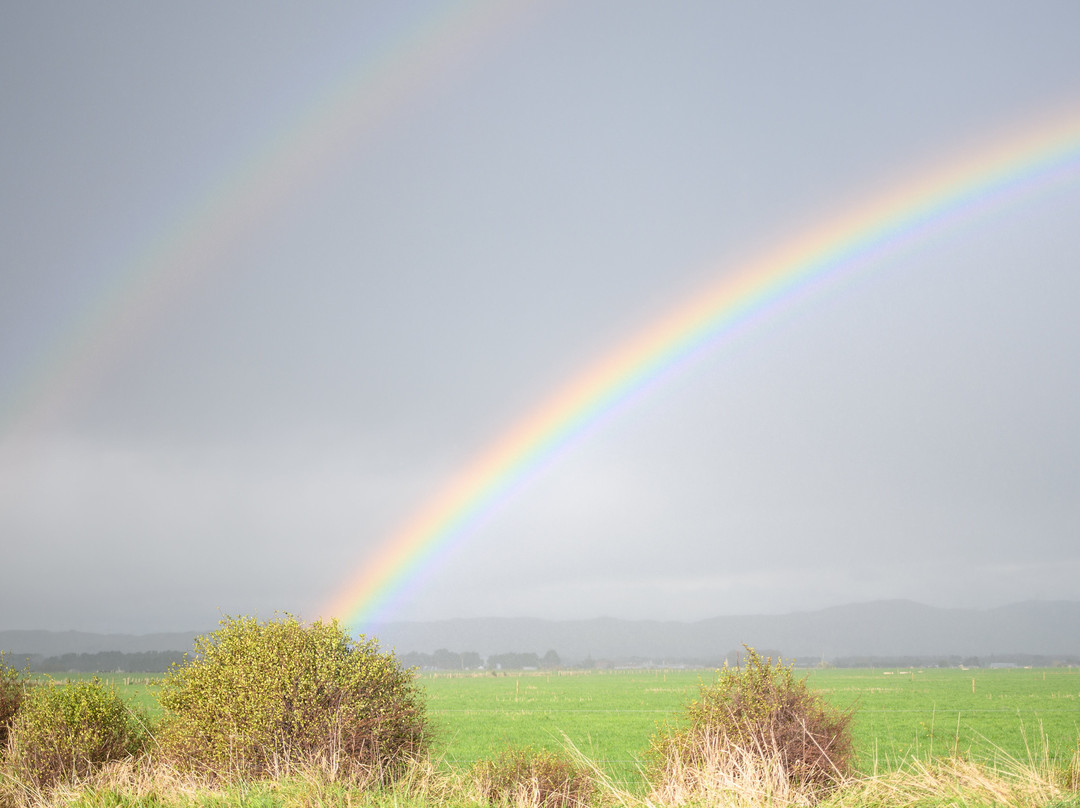 Penhaven Farm Stay主图