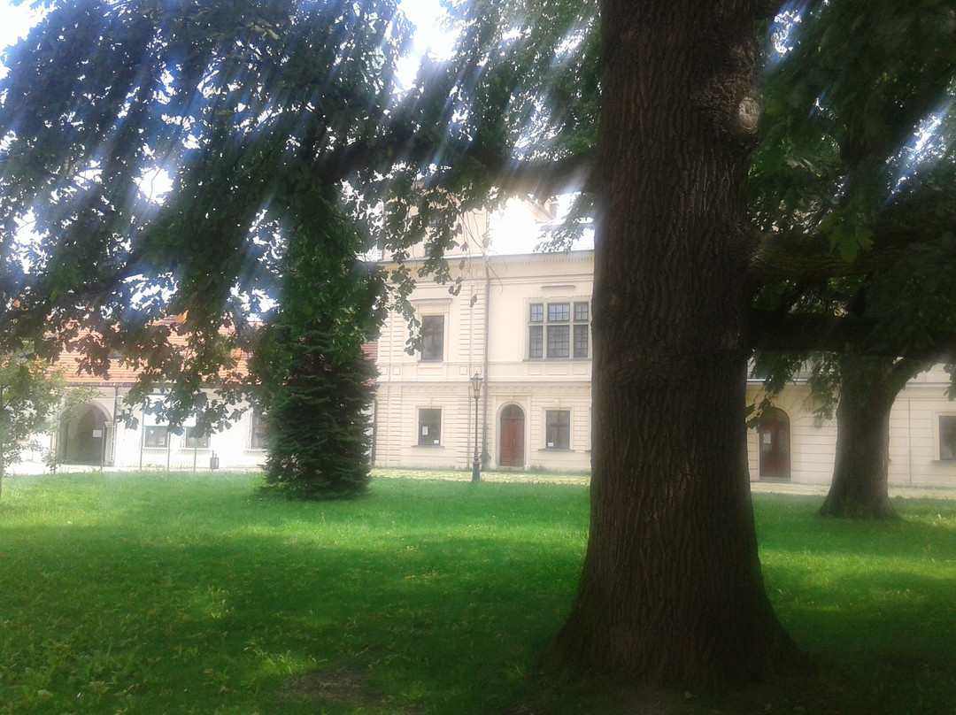 Muzeum Miejskie w Zywcu景点图片