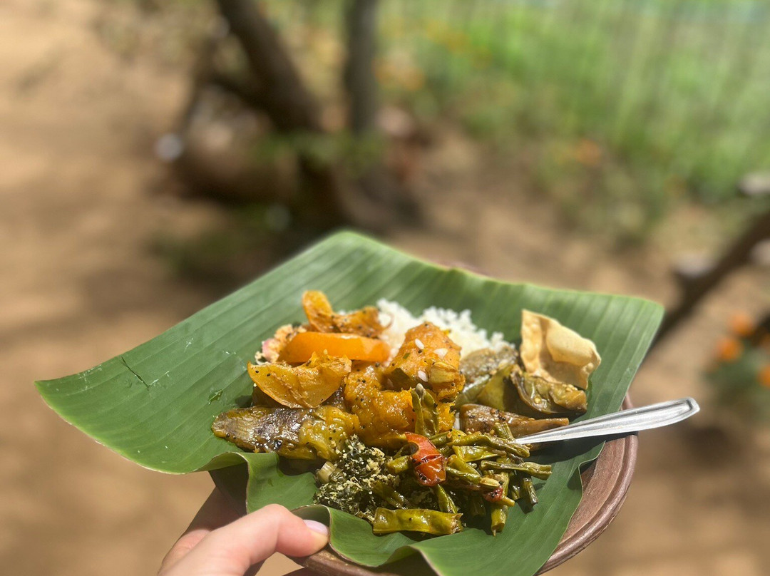 Nilu cookery lessons and activities-锡吉里亚必去景点