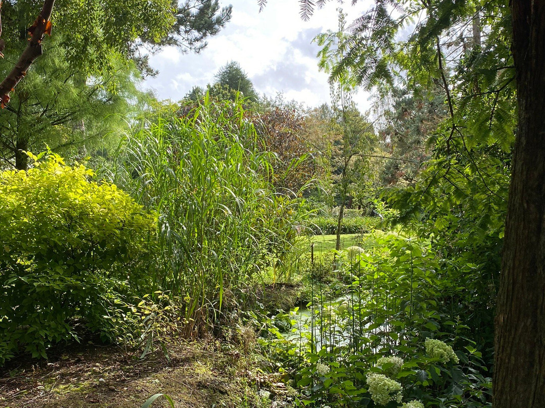 Bluebell Arboretum and Nursery景点图片