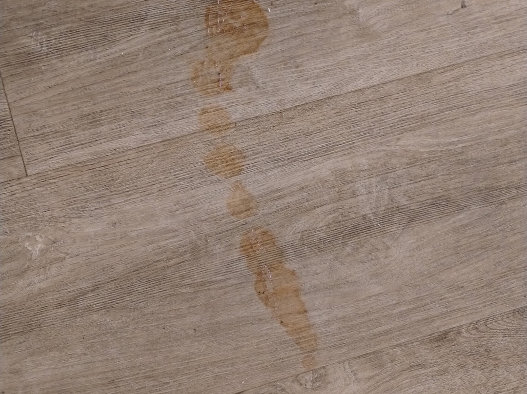 兰巴顿豪生酒店主图