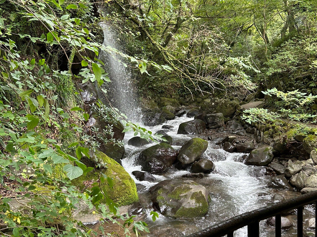Manyo Park-汤河原町必去景点