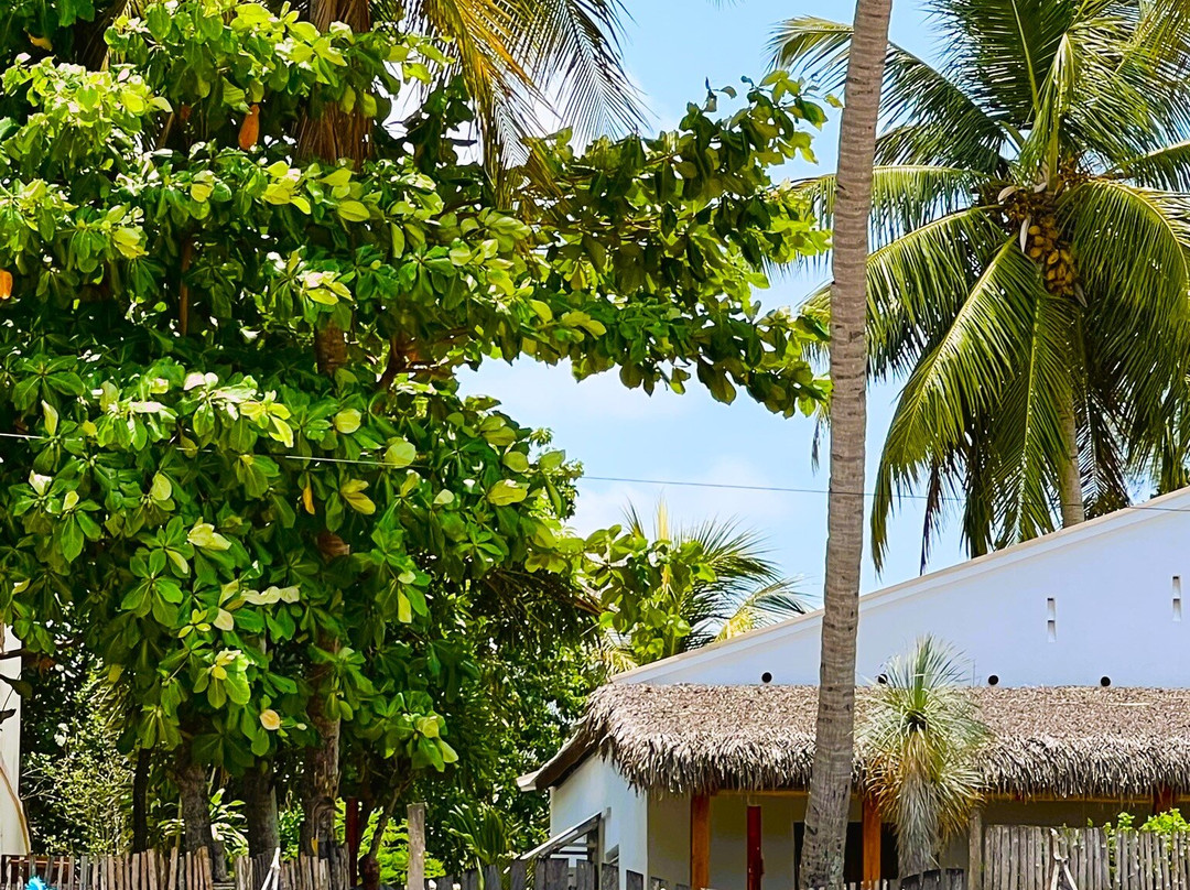 Ambatolaka Beach景点图片