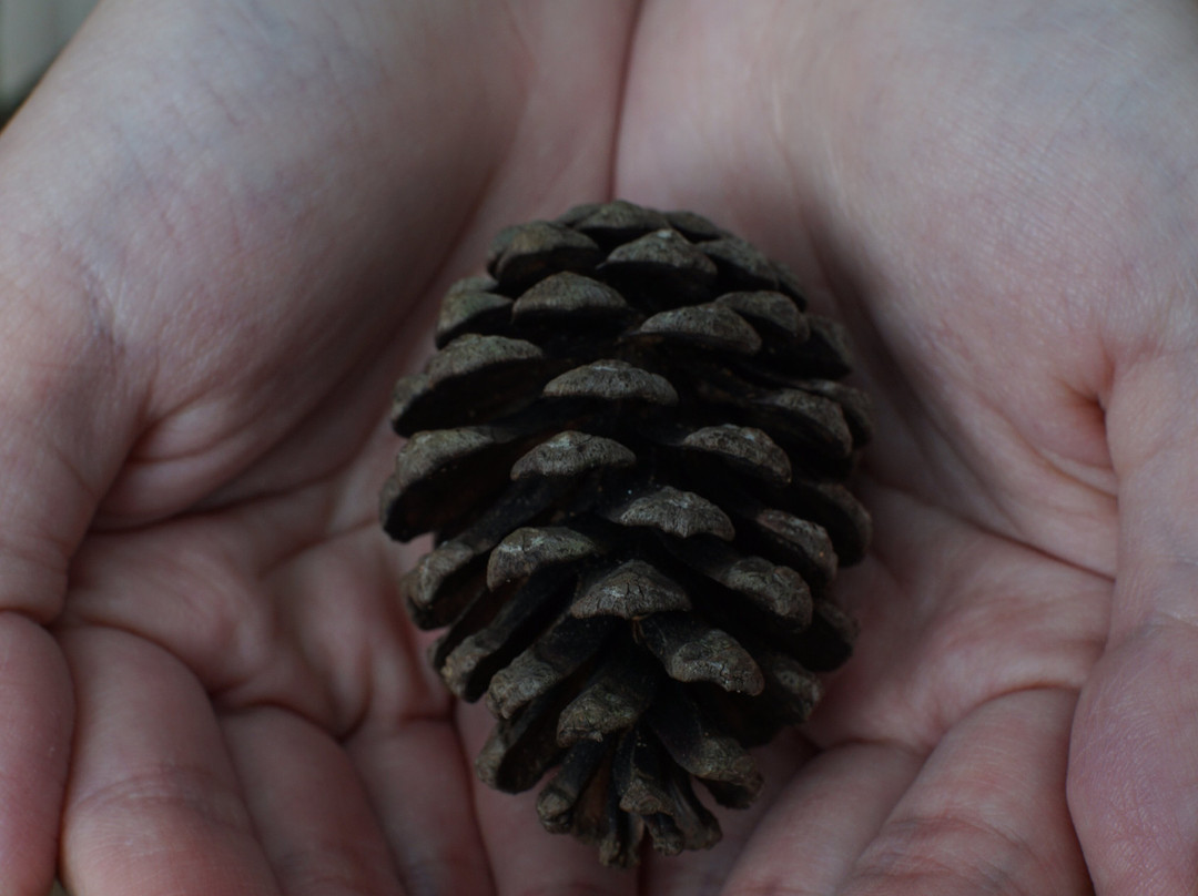 HIGHLAND ADVENTURE-DALAT ADVENTURE TOURS-Lam Dong必去景点