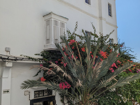 selected tours tangier-丹吉尔必去景点