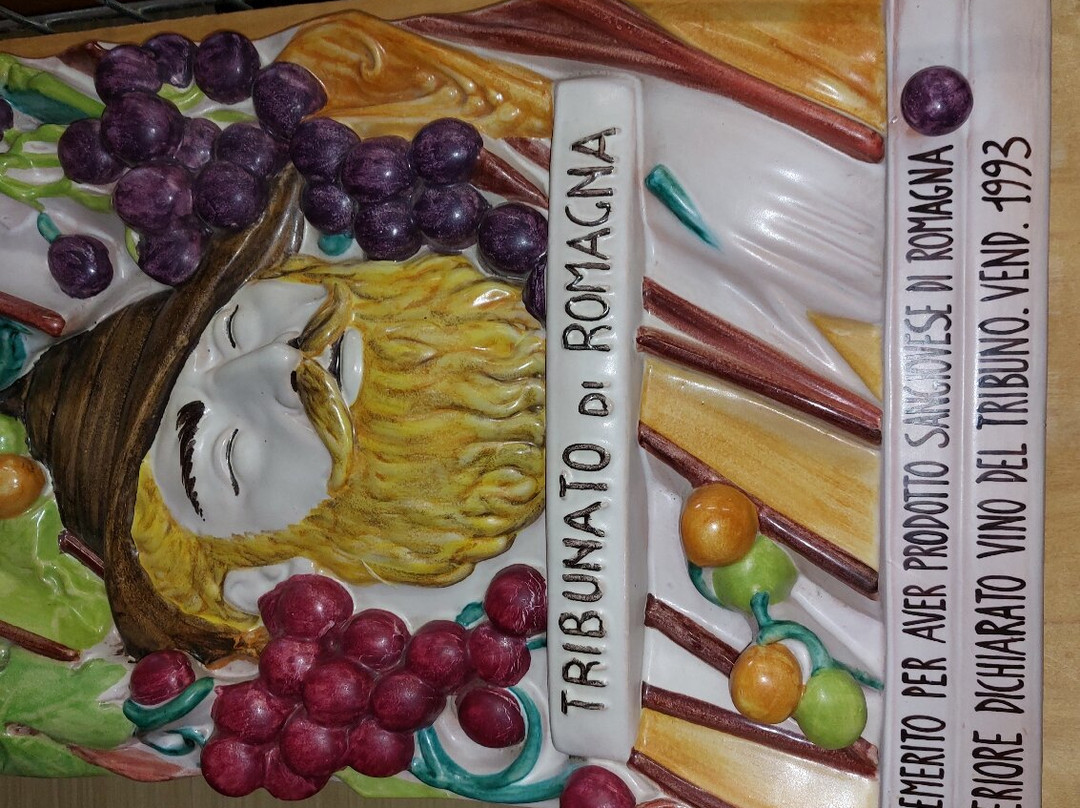 Fattoria Nicolucci景点图片