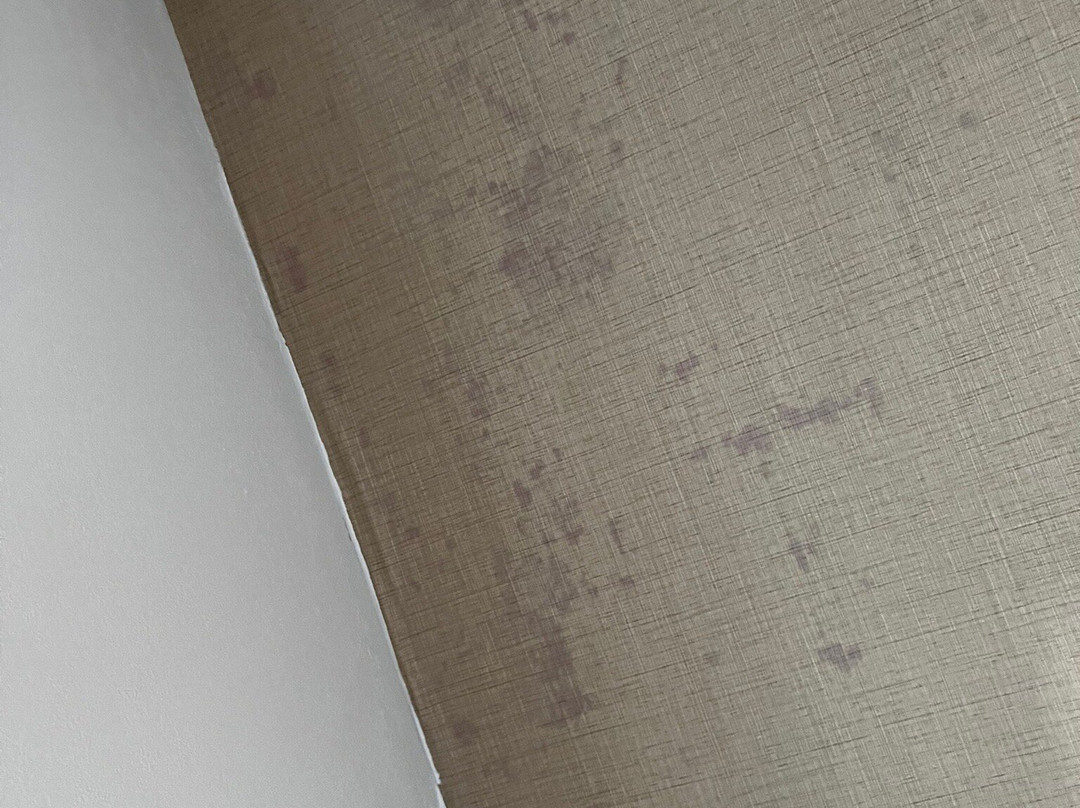 芝加哥/廷利公园希尔顿花园旅馆主图