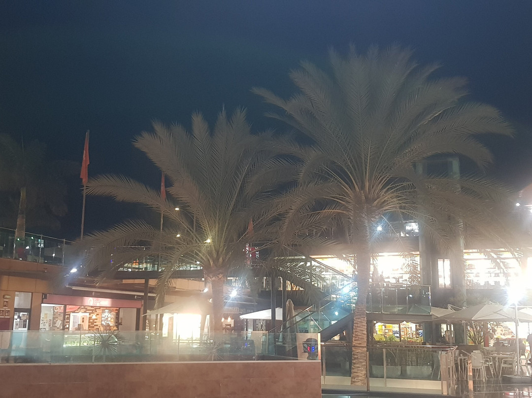 Centro Comercial Las Palmeras景点图片
