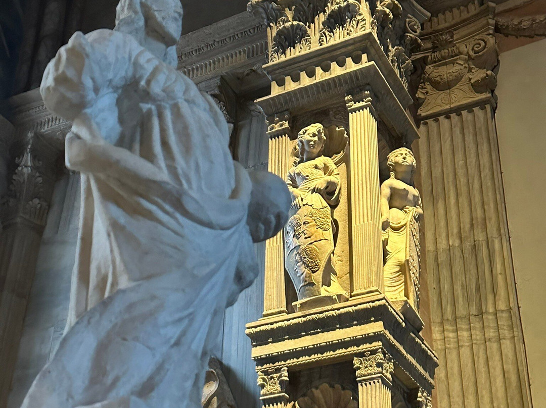 Basilica Cattedrale (Tempio Malatestiano)景点图片