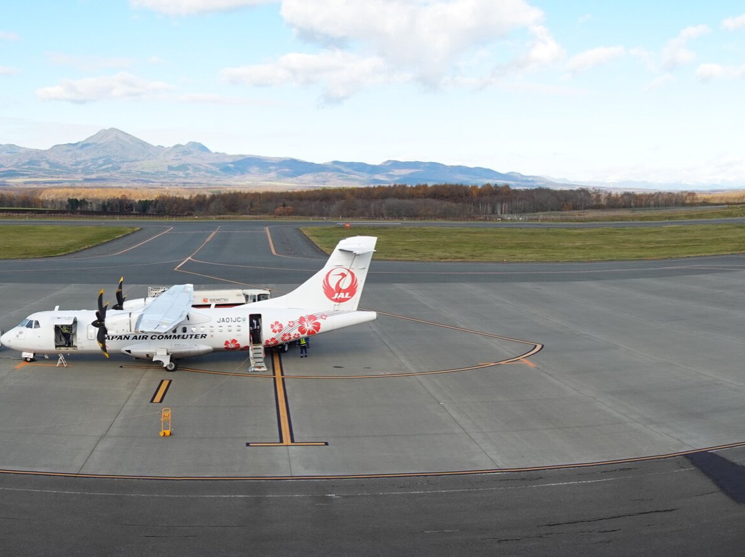 Nemuro Nakashibetsu Airport Observation Deck景点图片